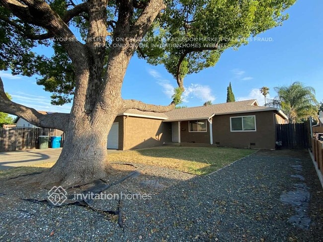 1637 Amapola St in Vacaville, CA - Building Photo - Building Photo