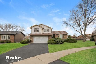 6048 White Birch Ln in Matteson, IL - Building Photo