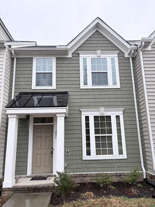 property at 221 Brittlebrush Dr