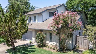 8907 Club Creek Cir in Dallas, TX - Building Photo