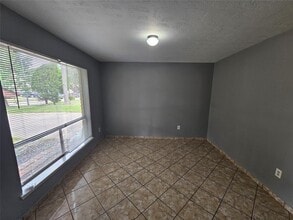 16806 Firth Ln in Houston, TX - Building Photo - Building Photo
