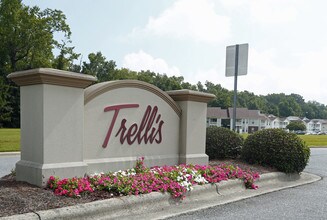 The Trellis Apartments in Greenville, NC - Foto de edificio - Building Photo