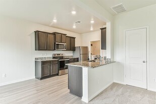 1123 Rare Fancy Dr in Arcola, TX - Building Photo