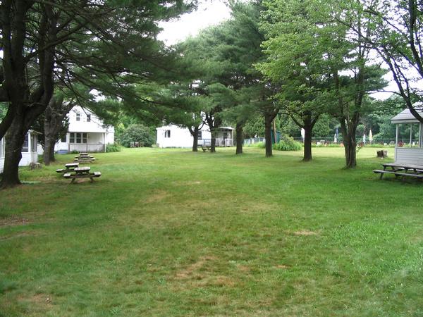 Sunny Forest in Monticello, NY - Building Photo