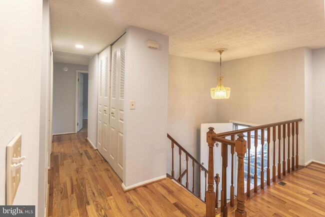 8764 Cold Plain Ct in Springfield, VA - Building Photo - Building Photo