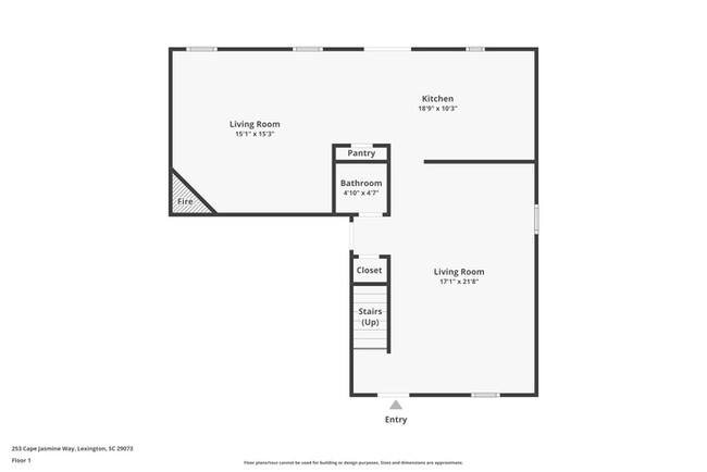 253 Cape Jasmine Way in Lexington, SC - Building Photo - Building Photo