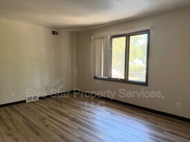 1224 W Monroe St in Springfield, IL - Building Photo