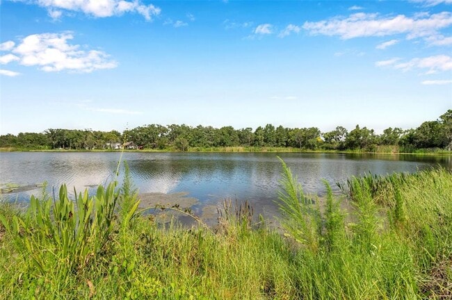 4812 Walnut Ridge Rd in Land O Lakes, FL - Building Photo - Building Photo