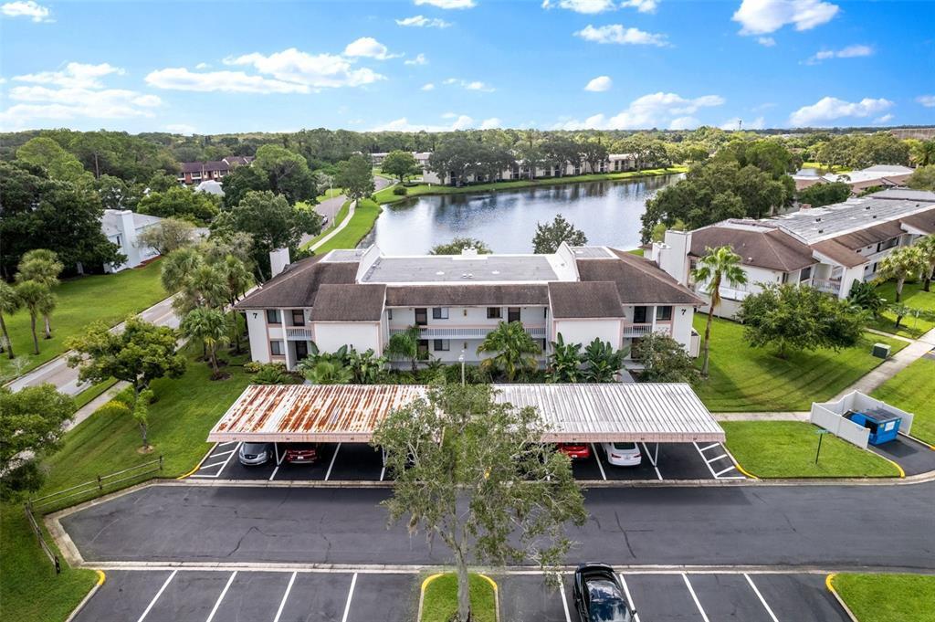 104 Lakeview Ct in Oldsmar, FL - Building Photo