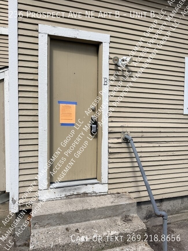 236 Prospect Ave NE in Grand Rapids, MI - Building Photo - Building Photo