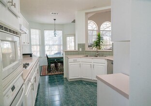 4916 Tiger Lily Way in Austin, TX - Building Photo - Building Photo