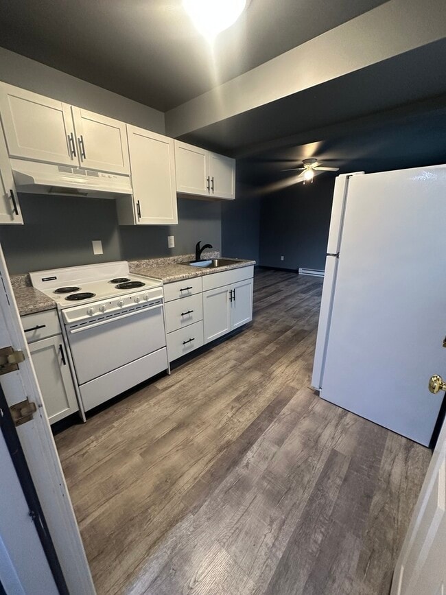 530 E 3rd St in Coal City, IL - Building Photo - Building Photo