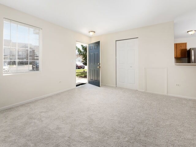 1309 Silverstone Dr, Unit 1305 in Carpentersville, IL - Building Photo - Building Photo