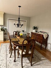 8 Sourwood Cir in Worcester, MA - Building Photo - Building Photo