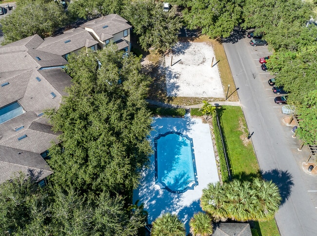 8516 Island Breeze Ln in Temple Terrace, FL - Building Photo - Building Photo