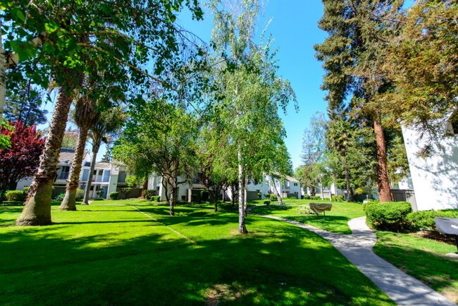 1055 N Capitol Ave-Unit -109 in San Jose, CA - Building Photo - Building Photo