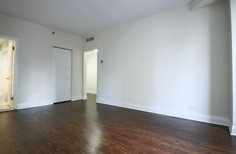 238 E Chestnut St in Chicago, IL - Foto de edificio - Building Photo