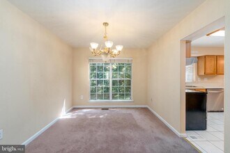 8005 Silver Fox Dr in Glen Burnie, MD - Foto de edificio - Building Photo