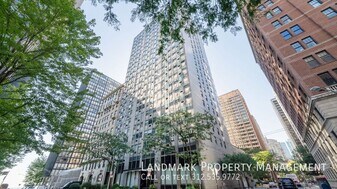 253 E Delaware Pl in Chicago, IL - Building Photo