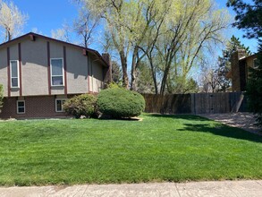 5233 Borrego Dr in Colorado Springs, CO - Building Photo - Building Photo