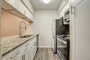 Coronado Villas in Denton, TX - Building Photo