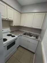 419 Pineapple St in Tarpon Springs, FL - Building Photo - Building Photo