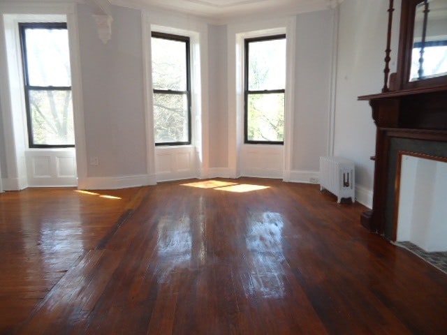 property at 473 Halsey St