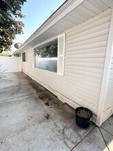 4203 W Kennewick Ave in Kennewick, WA - Building Photo - Building Photo