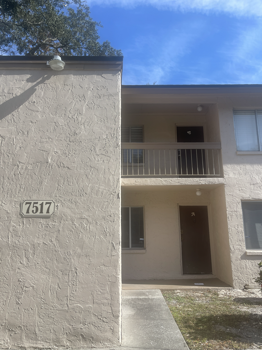 7517 Pitch Pine Cir, Unit 174 in Tampa, FL - Building Photo