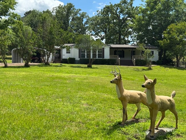 property at 12372 FM 1650