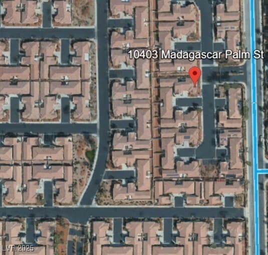 property at 10403 Madagascar Palm St