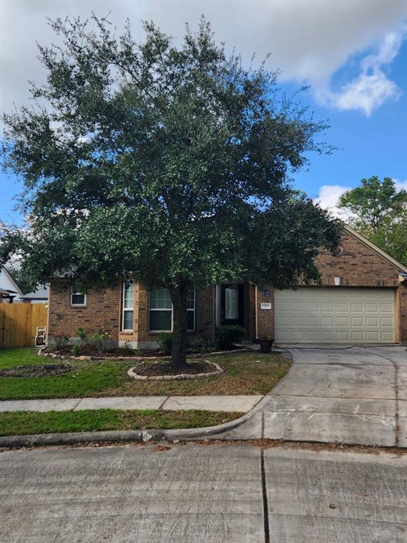 13831 Birney Point Ln in Houston, TX - Building Photo - Building Photo