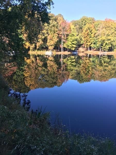 649 Kenilworth Cir in Stone Mountain, GA - Building Photo - Building Photo