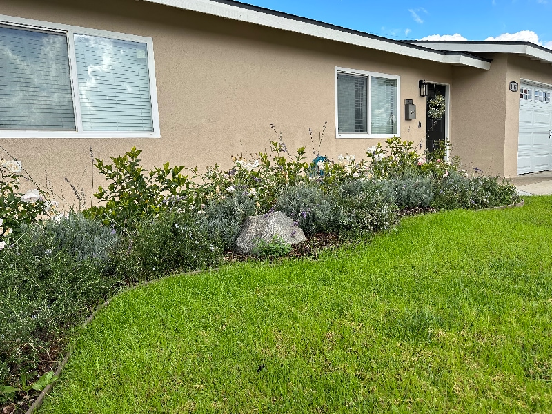 1647 N Lake Ave in Ontario, CA - Building Photo