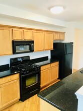 343 W Old Town Ct in Chicago, IL - Building Photo - Building Photo
