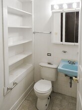 853 W Lill Ave, Unit D in Chicago, IL - Building Photo - Building Photo