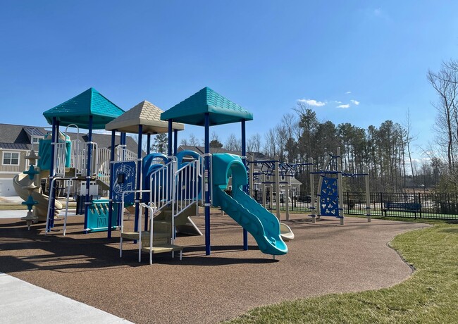 11900 Petrel Crossing in Midlothian, VA - Building Photo - Building Photo