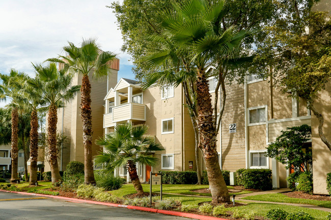 Palms on Westheimer Apartments in Houston, TX - Building Photo - Building Photo