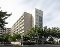 Wisteria Vista in Honolulu, HI - Building Photo - Building Photo