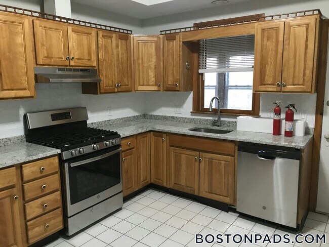 34 Orkney Rd, Unit 1 in Boston, MA - Building Photo - Building Photo