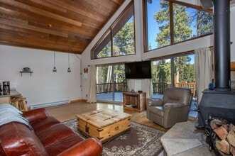 204 Skidoo Rd in Fairplay, CO - Building Photo - Building Photo