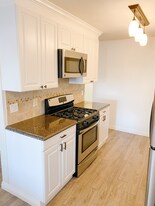 3111 Mace Ave in Costa Mesa, CA - Building Photo