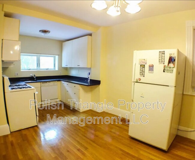 18-20 Dorset St in Boston, MA - Building Photo - Building Photo