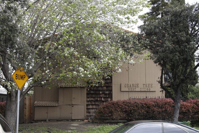 Orange Tree Apartments in Hayward, CA - Building Photo - Building Photo