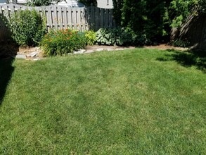 6015 N Shoreland Ave in Whitefish Bay, WI - Building Photo - Building Photo