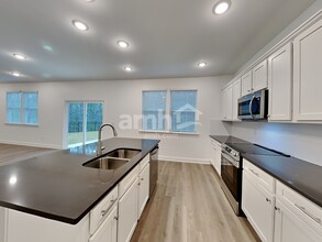 250 Sapling Way in Dallas, GA - Building Photo - Building Photo