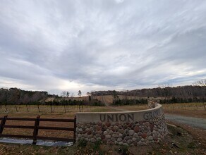 1125 Lily Pad Ln in Chapel Hill, NC - Building Photo - Building Photo