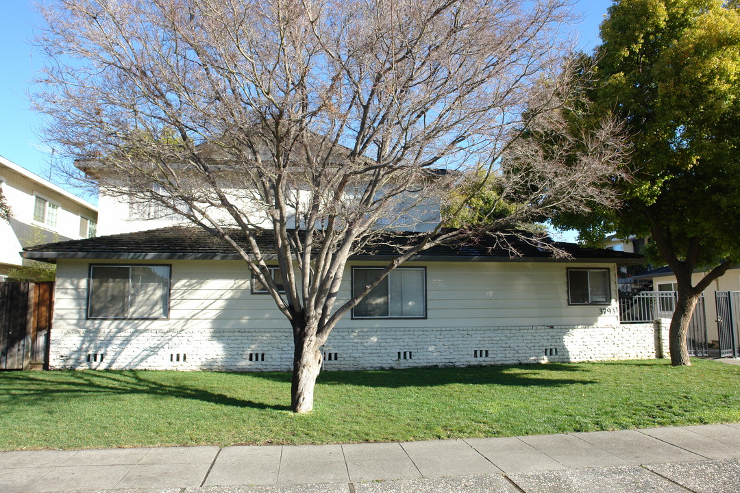 3793 Underwood Dr in San Jose, CA - Building Photo