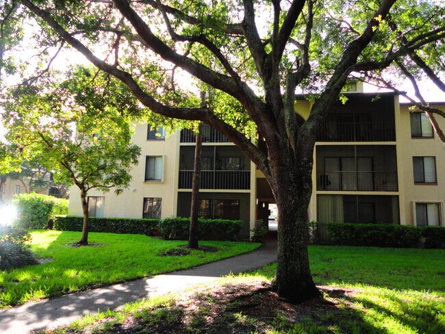property at 208 Foxtail Dr