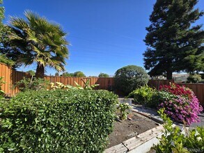 325 Goshen Ct in San Ramon, CA - Building Photo - Building Photo